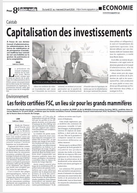 Capitalisation des investissement 